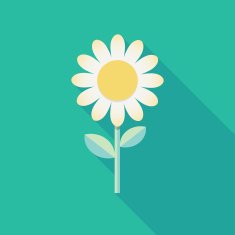 Spring background template White flower cartoon drawing Icon with long