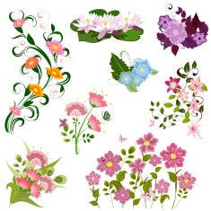 Set of flowers N19