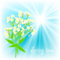 Vector card with small white flowers N2