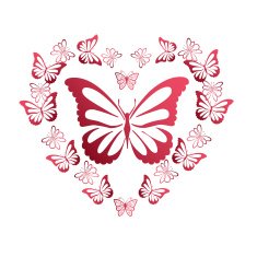 Colorful background with butterfly N3