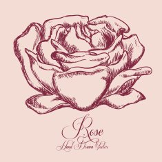 Rose Flower N5