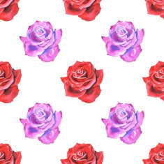Flowers hand painted watercolor roses Pattern Background