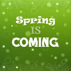 Typographical Spring Background vector