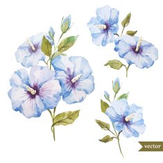 Blue Flowers N28