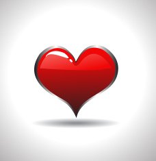 Heart Icon Vector N2