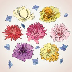 flowers set sketch N2