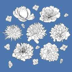 flowers set sketch N3