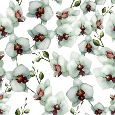 Beautiful orchid flower6 N2