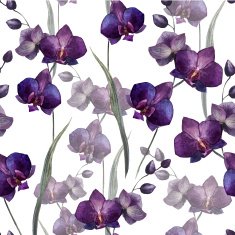 Beautiful orchid flower4 N2