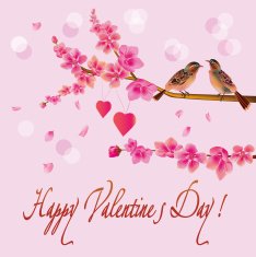 Valentine's Day N105