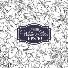 Background outline flowers N2
