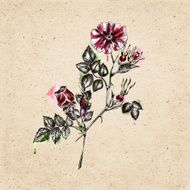 Watercolor background with flower N3
