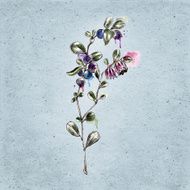 Watercolor background with flower N4