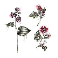 Watercolor background with flower N5
