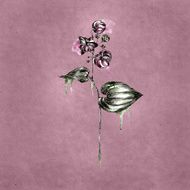 Watercolor background with flower N8