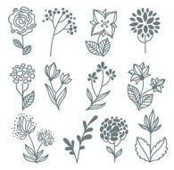 vector hand drawn flowers collection N2