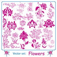 Big set of Flowers