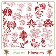 Big set of Flowers N2
