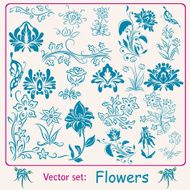 Big set of Flowers N3