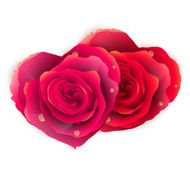 Couple Heart Made of Red Roses EPS 10