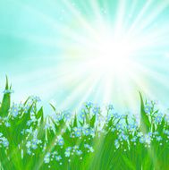 Vector card with small blue flowers N2