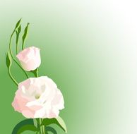 green background with white beautiful flowers - vector
