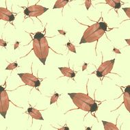 Summer seamless pattern with cockchafers
