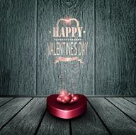 Valentine&#039;s day background N55