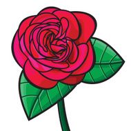 Red rose illustration