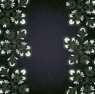 flowers vector illustration N8