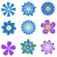 colorful spring flowers collection vector illustration