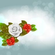 Rose background N8