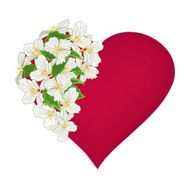 Valentine's Day heart with white flowers background vector