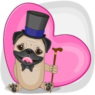 Pug Dog in hat N2