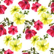Watercolor petunia