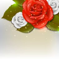 Rose background N9