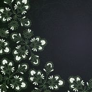 flowers vector illustration N11