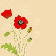 Red poppy on beige background