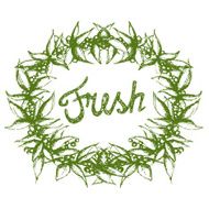Hand drawn Fresh leaves wreath isolated on white