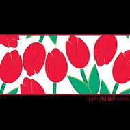 All occasion tulip card in vector format N4