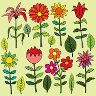 Various summer flowers N15