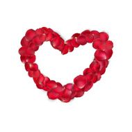 Heart of red rose petals isolated EPS 10