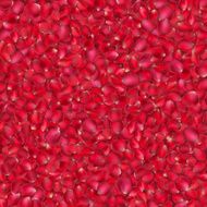 Background of beautiful red rose petals EPS 10 N2