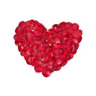Heart of red rose petals isolated EPS 10 N2
