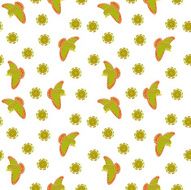 White Background N131