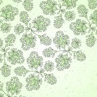 flowers vector illustration N16