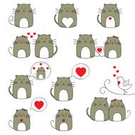 Cats set N5