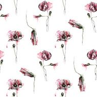 Seamless floral pattern with poppy