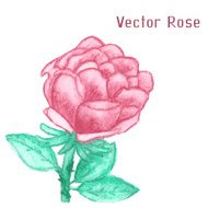 Gentle watercolor rose