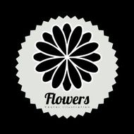 Flowers design N54